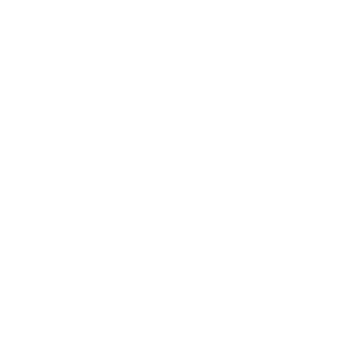 Логотип - Пар Студия №1